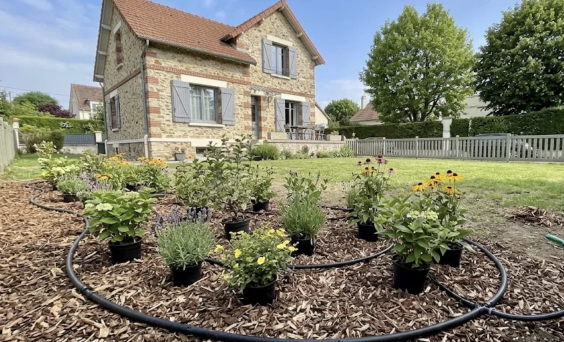 Goutte-à-goutte posé au pied d'un massif fraîchement planté à Chatou